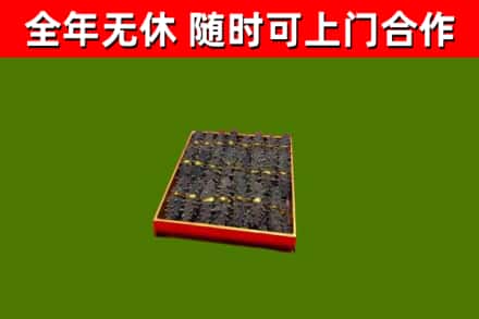 城东回收海参